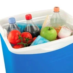 CAMPINGAZ Icetime 26 L -Campingaz Boutique campingaz icetime 26 l 2