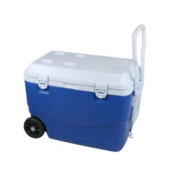 CAO Glacière Rigide à Roulettes